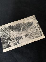 別府温泉絵葉書 THE BEAUTIFUL BEPPU SPA ケーブル遊園地