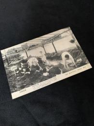 別府温泉絵葉書 THE BEAUTIFUL BEPPU SPA 名勝天然砂湯