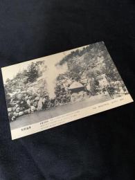 別府温泉絵葉書 THE BEAUTIFUL BEPPU SPA かまど地獄