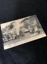別府温泉絵葉書 THE BEAUTIFUL BEPPU SPA かまど地獄