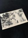 別府温泉絵葉書 THE BEAUTIFUL BEPPU SPA 金龍地獄
