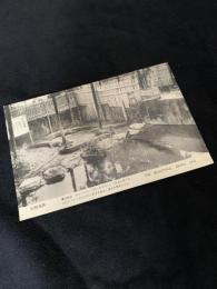 別府温泉絵葉書 THE BEAUTIFUL BEPPU SPA 鬼山地獄