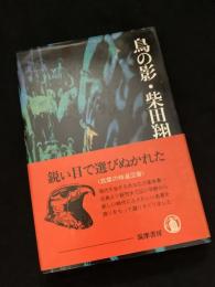 鳥の影
