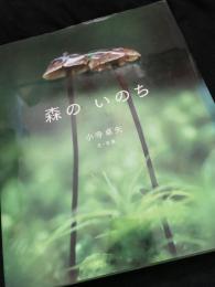 森のいのち