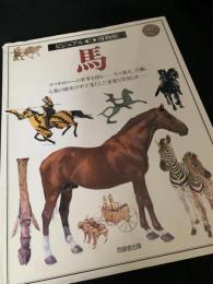 馬 ビジュアル博物館