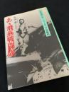 あゝ飛燕戦闘隊 少年飛行兵ニューギニア空戦記