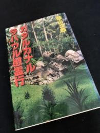 ガダルカナル ラバウル慰霊行