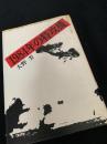 1984年の特攻機