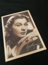 Vivien Leigh（ヴィヴィアン・リー） サイン表記入りポートレート