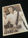 ELVIS