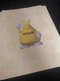 IPSUM カタログ①