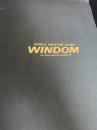 WINDOM V6 3000 4DOOR HARDTOP カタログ