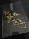 Anatomy & Dissection of the Honeybee ミツバチの解剖と解剖実習