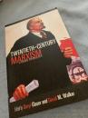 Twentieth-Century Marxism A Global Introduction 20世紀マルクス主義入門