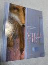 Villi Tie
