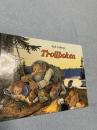 Trollboken②