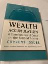 Wealth Accumulation Communities of Color in the United States Current Issues 米国有色人種の資産形成