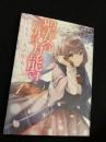聖女の魔力は万能です ～もう一人の聖女～（1巻）