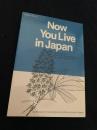 Now You Live in Japan (Revised Edition これから日本で暮らすあなたへ（改訂版