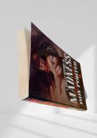 A Social History of Madness（狂気の社会史）