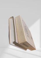 筑摩現代文学大系 16 永井荷風集