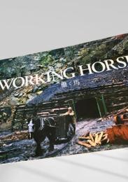 WORKING HORSE 働く馬