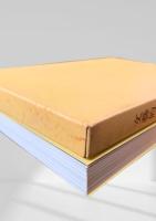 文藝的な余りに文藝的な  芥川龍之介　名著復刻日本児童文学館