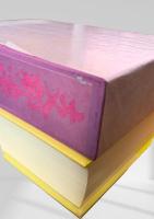 支那游記  芥川龍之介　名著復刻日本児童文学館