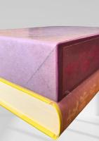 支那游記  芥川龍之介　名著復刻日本児童文学館