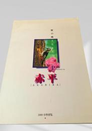 赤平 1999 市勢要覧