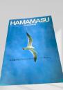 HAMAMASU '79浜益　村勢要覧