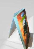 キノコの惑星スカー