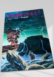 流れ星をつかまえろ