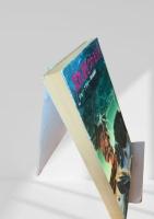 流れ星をつかまえろ