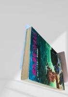 流れ星をつかまえろ