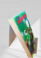 裏切り砦の拳銃無頼