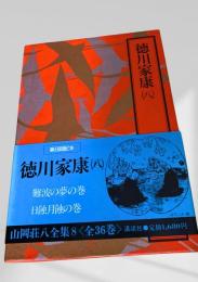 徳川家康 (八)