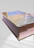 デンプンハンドブック