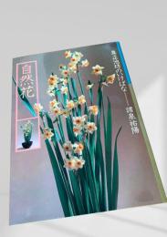 専正池坊のいけばな 自然花