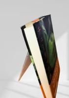 チューリップ熱