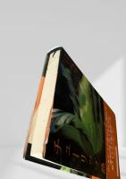 チューリップ熱