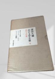 山の文学全集 VI 雲の上の道