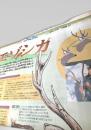 北海道新聞  週刊フムフム 世界と日本 大図解81 エゾシカ