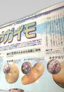 北海道新聞  週刊フムフム 世界と日本 大図解92 ジャガイモ