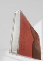 オルレアンのうわさ