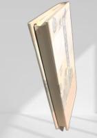 戦国の武将と城