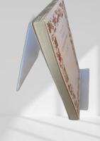 自然発生説の検討