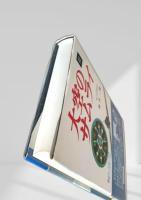 大空のサムライ 続