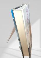 大空のサムライ