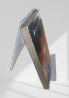 ムーンレイカー